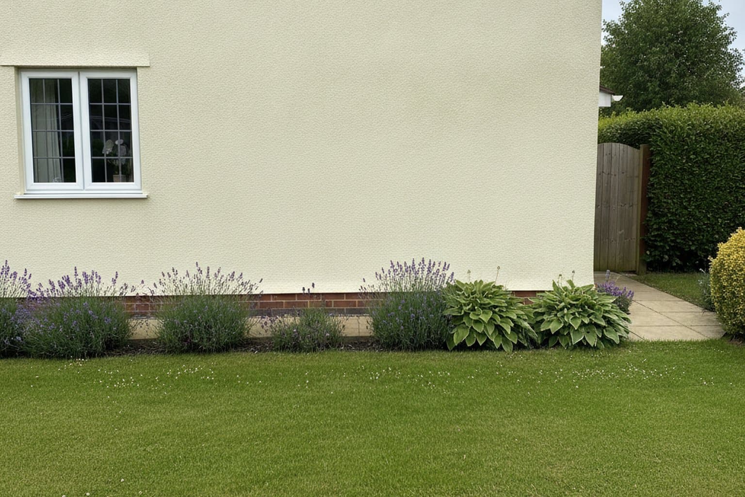 Render Cleaning