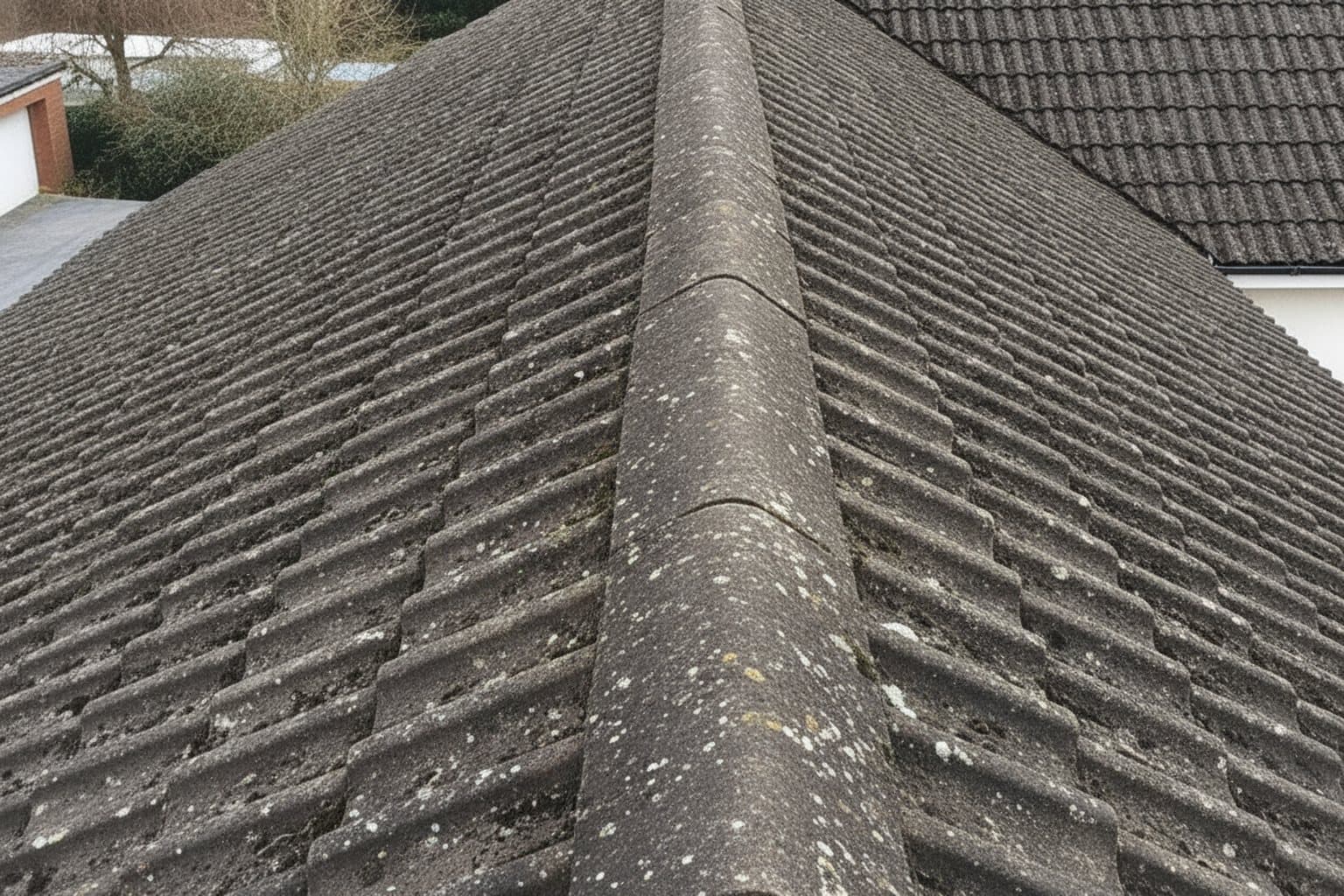 Roof Cleaning & Moss Removal
