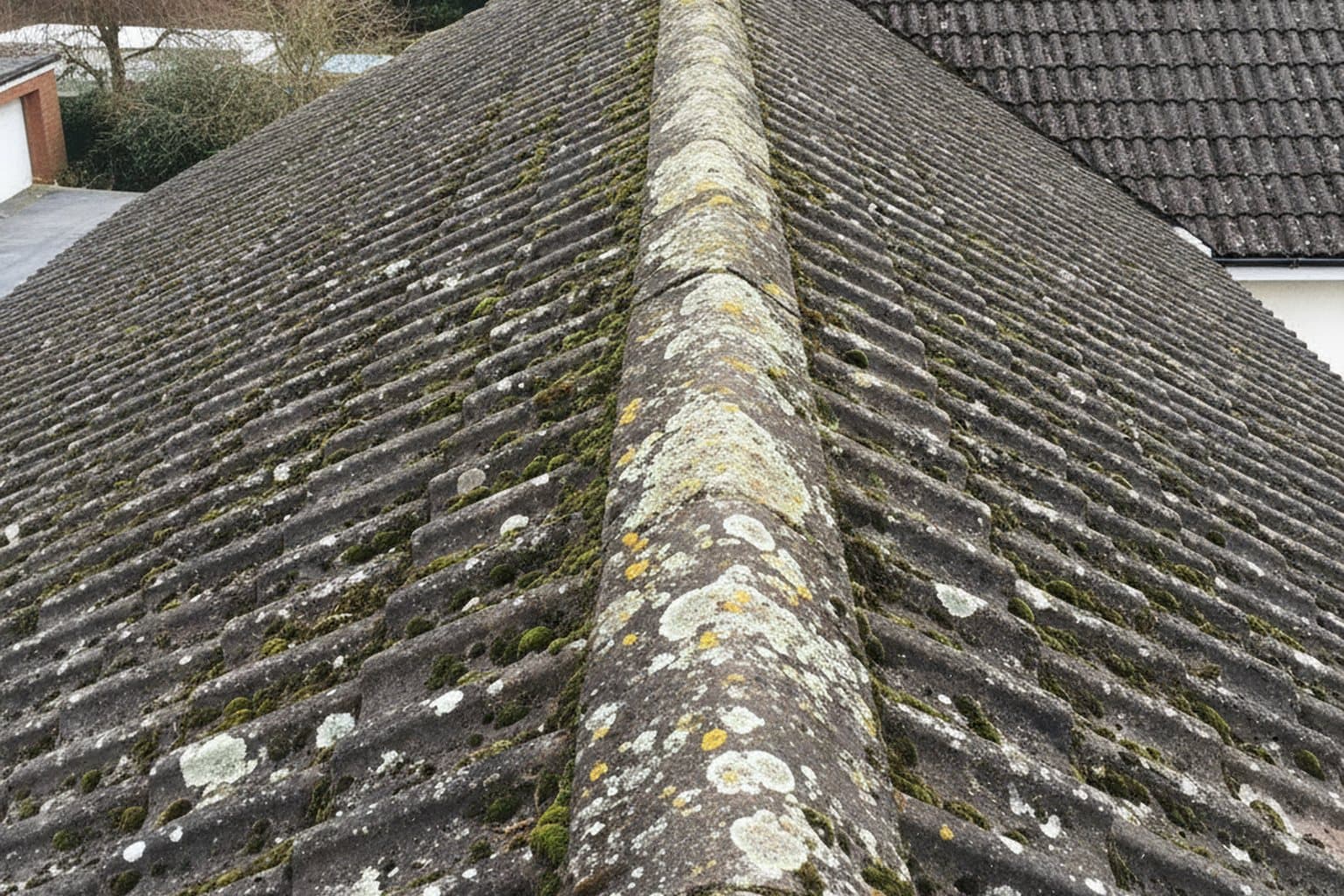 Roof Cleaning & Moss Removal in Bournemouth & Poole service