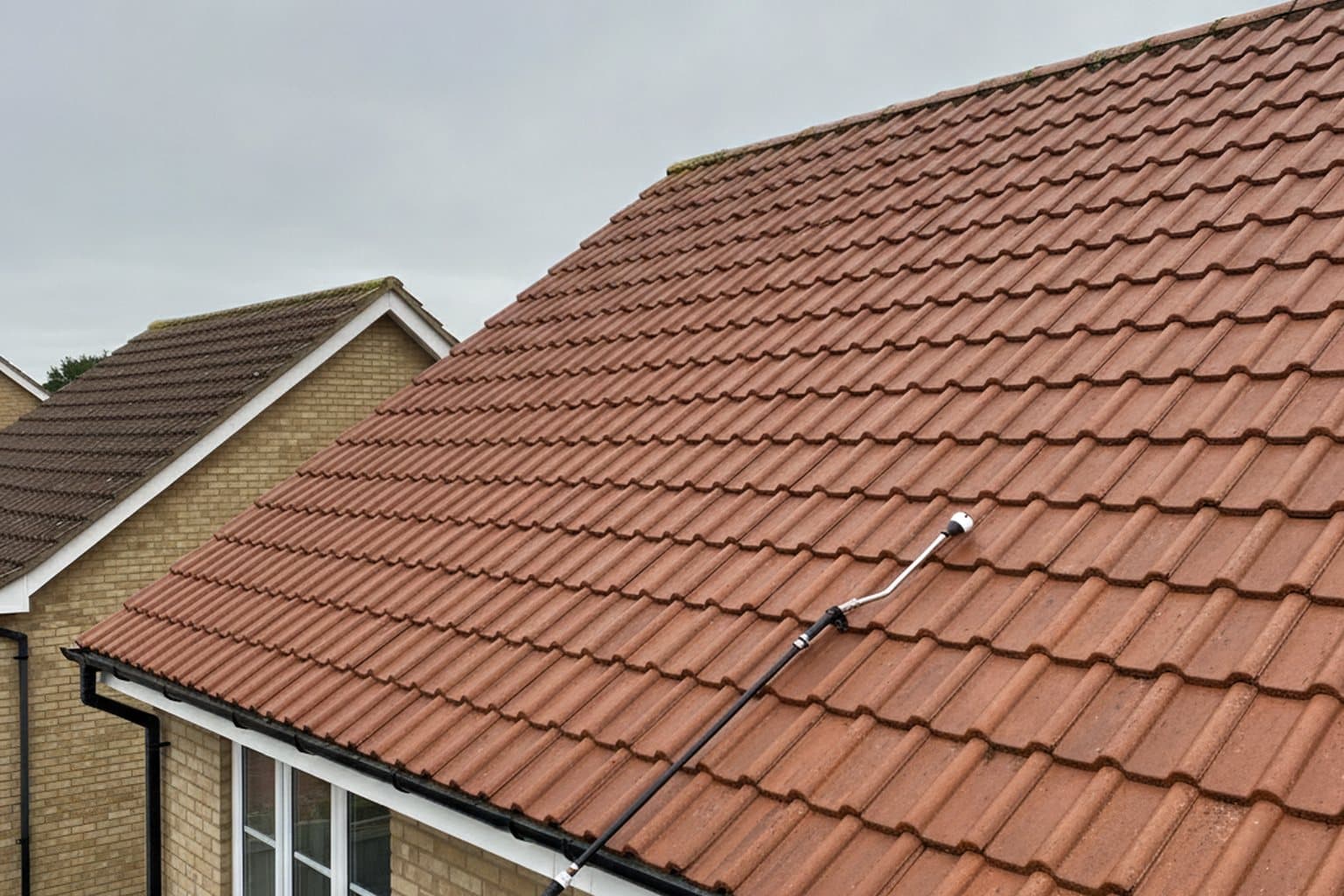 Roof Cleaning & Moss Removal