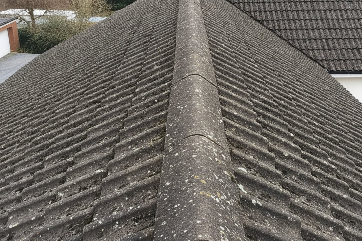Roof Cleaning & Moss Removal in Bournemouth & Poole after cleaning