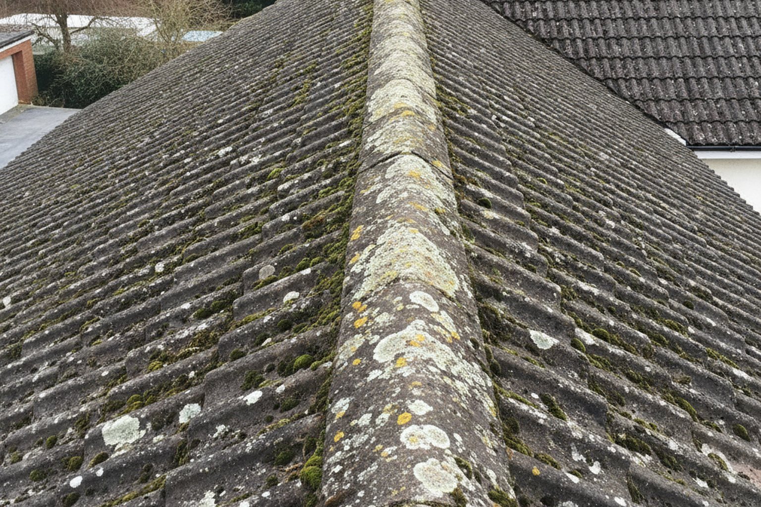 Roof Cleaning & Moss Removal in Bournemouth & Poole before cleaning